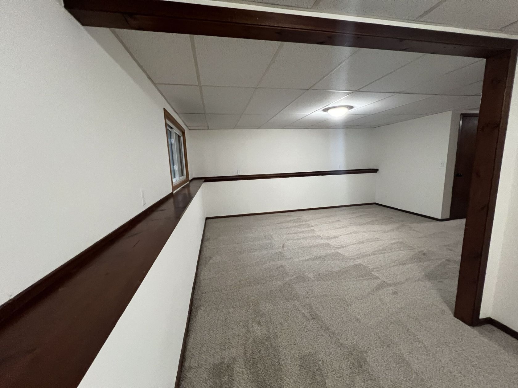 Finished lower level with new carpet and trim at Emerson